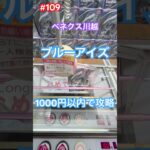 ベネクスのフィールドでブルーアイズとデュエル‼︎ #クレーンゲーム #ufoキャッチャー #ベネクス川越 #ブルーアイズ