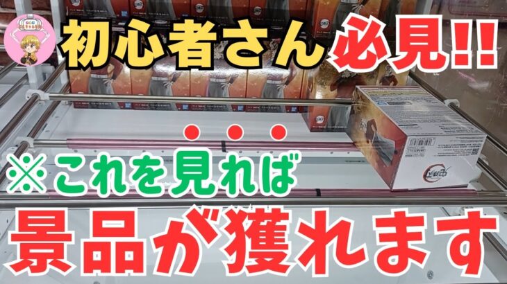 【クレーンゲーム】超必見!! これを見れば景品の獲り方が解る!! ＃クレーンゲーム ＃ufoキャッチャー ＃回遊館