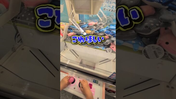 沖縄の那覇空港にクレーンゲームめちゃくちゃあるの知ってます？☺#クレーンゲーム #ufoキャッチャー #ゲームセンター #クレーンゲーム攻略  #確率無視
