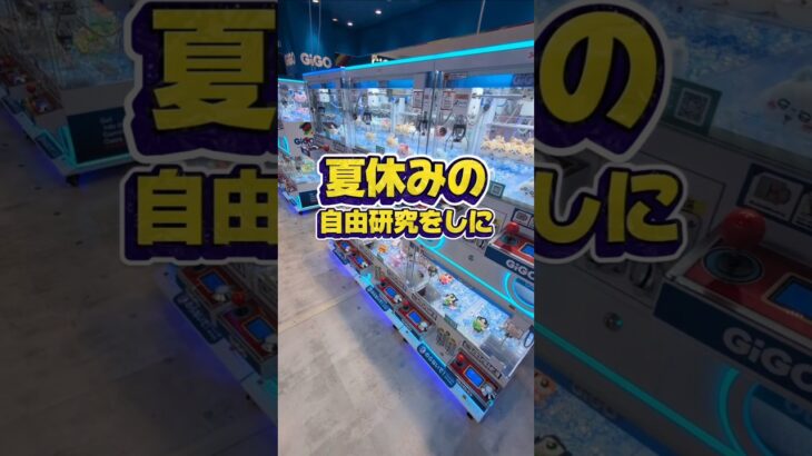 夏休みの自由研究もうやったかい？☺昆虫標本とかやる人いたよねー☺#クレーンゲーム #ufoキャッチャー #ゲームセンター #クレーンゲーム攻略