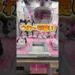 ポムポムプリンが一番好き☺サンリオキャラ好きなの教えて！#クレーンゲーム #ufoキャッチャー #ゲームセンター #クレーンゲーム攻略  #確率無視