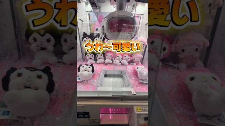 ポムポムプリンが一番好き☺サンリオキャラ好きなの教えて！#クレーンゲーム #ufoキャッチャー #ゲームセンター #クレーンゲーム攻略  #確率無視