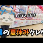【クレーンゲーム】可愛い!!少年が超優良ゲームセンターで雑貨生活用品を狙ったら驚きの結果に···【ufoキャッチャー 回遊館】