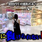 【クレーンゲーム】地獄からの成り上がり！散財した先で見つけたとある攻略法がヤバイ…【ufoキャッチャー】