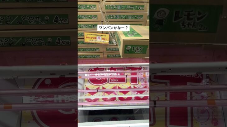 バランスキャッチでとる！　#クレーンゲーム #クレーンゲームコツ #クレーンゲーム動画 #クレーンゲーム攻略 #ベネクス #ベネクス浦和 #ufoキャッチャー