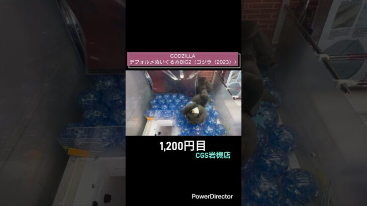 【クレーンゲーム】確率機に挑戦だ！！ #クレゲ #クレーンゲーム #ufoキャッチャー #プライズ獲得 #CGS岩槻店