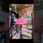 【家パンクしちゃうゾ★】#ufoキャッチャー #クレーンゲーム景品 #クレーンゲーム動画 #クレーンゲーム#GET品#ゲームセンター#クレーンゲーム攻略#夾娃娃店#和室からお届け