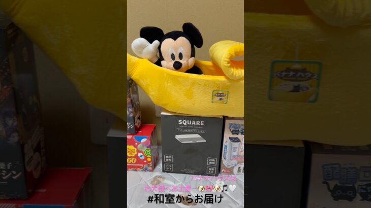 【📍回遊館岐阜店】#ufoキャッチャー #クレーンゲーム景品 #クレーンゲーム動画 #クレーンゲーム#GET品#ゲームセンター#クレーンゲーム攻略#夾娃娃店#和室からお届け#回遊館#回遊館岐阜店