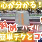 [最新プライズ攻略動画]誰でもわかる！！最新プライズ攻略のコツや重心を分かりやすく解説。#回遊館岐阜#クレーンゲーム#ゲーセン#ufoキャッチャー #攻略 #ドラゴンボール Z#ゴジータ#ベジット
