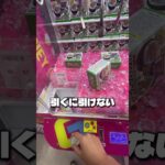大量投資の先に奇跡が起こる #クレーンゲーム #ゲームセンター #ゲーセン #ゲーム #ufoキャッチャー #夾娃娃機 #攻略 #cranegame #clawmachine #sammy #セブフラ