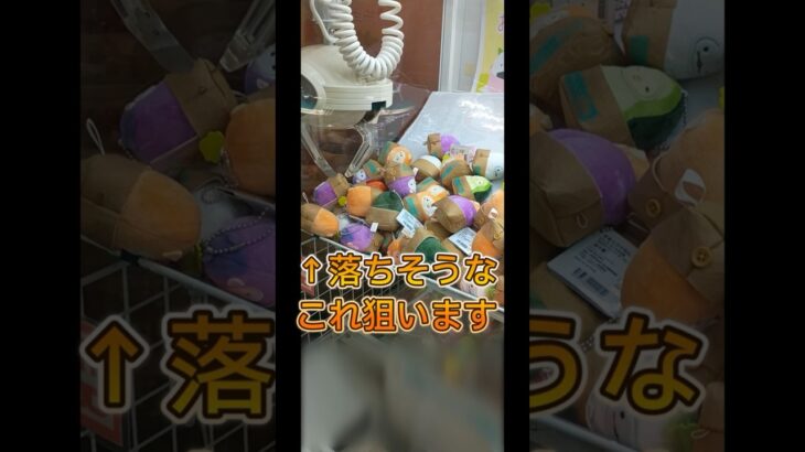 クレーンゲーム攻略 #クレーンゲーム #ufoキャッチャー  #shorts #ゲームセンター #ミニクレーンゲーム #ちいかわクレーンゲーム