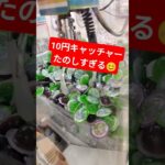 取れないけど楽しいから良し😁 #クレーンゲーム景品 #クレーンゲーム #ショート #ゲームセンター #クレーンゲーム攻略 #ufoキャッチャー #shorts #10円キャッチャー