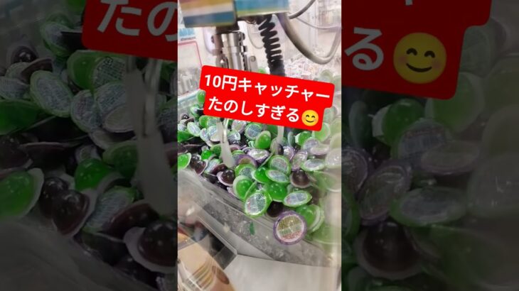 取れないけど楽しいから良し😁 #クレーンゲーム景品 #クレーンゲーム #ショート #ゲームセンター #クレーンゲーム攻略 #ufoキャッチャー #shorts #10円キャッチャー