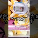 【真面目にガチ攻略】 #ufoキャッチャー #クレーンゲーム #ぬいぐるみ #shorts