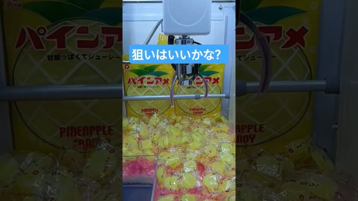 爆取れしないかな〜😅 #クレーンゲーム景品 #クレーンゲーム #ゲームセンター #クレーンゲーム攻略 #ufoキャッチャー #パインアメ #shorts