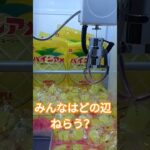 パインアメ食べよ🍍 #クレーンゲーム #クレーンゲーム景品 #ゲームセンター #クレーンゲーム攻略 #ufoキャッチャー #ゲーセン #ミニクレーンゲーム #パインアメ #shorts