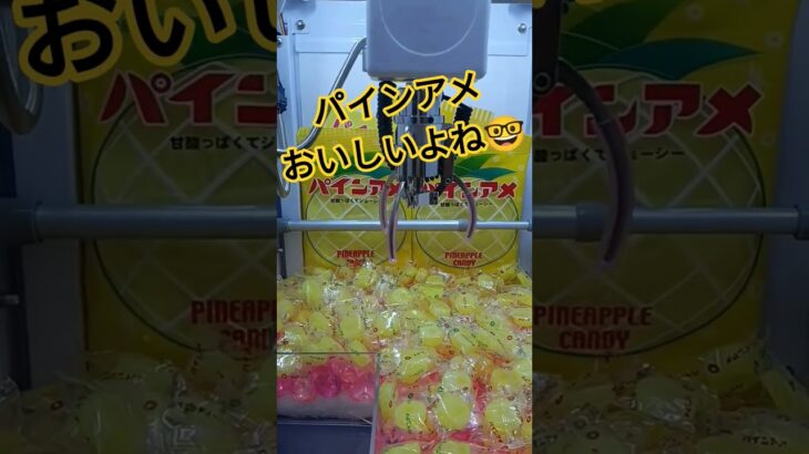 なかなかとれないんだが #クレーンゲーム #クレーンゲーム景品 #ゲームセンター #クレーンゲーム攻略 #ufoキャッチャー #ゲーセン #ミニクレーンゲーム #パインアメ #shorts