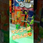 じゅるるのマンゴーはじめて見たよ🥭 #クレーンゲーム #クレーンゲーム景品 #ゲームセンター #クレーンゲーム攻略 #ufoキャッチャー #ミニクレーンゲーム #じゅるる #マンゴー #shorts