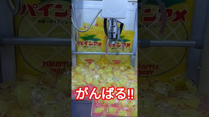 諦めたら終了😳 #クレーンゲーム #クレーンゲーム景品 #ゲームセンター #クレーンゲーム攻略 #ufoキャッチャー #ゲーセン #ミニクレーンゲーム #パインアメ #shorts