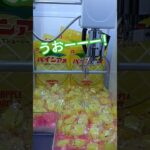 発狂していいですか？🫥 #クレーンゲーム #クレーンゲーム景品 #ゲームセンター #クレーンゲーム攻略 #ufoキャッチャー #ゲーセン #ミニクレーンゲーム #パインアメ #shorts