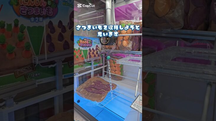 さつまいもを収穫出来る！？！？クッション#クレーンゲーム #ufoキャッチャー #ゲームセンター  #인형뽑기 #오락실 #ぬいぐるみ #ufocatcher #ゲーセン  #攻略法