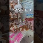 タグかけ　に挑戦　 クレーンゲーム #ufoキャッチャー #ゲームセンター  #인형뽑기 #오락실  #ufocatcher #ゲーセン  #攻略法 #攻略　　 #チップとデール
