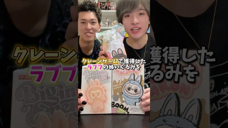 【ラブブ】ゲーセンで取ったラブブは本物なのか、実際に開封して検証してみました。(クレーンゲーム )