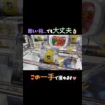 【クレーンゲーム】#とれとる米原店 さんで変な形の箱やってきた💥