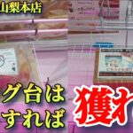 【万代書店山梨本店】クレーンゲーム山梨一獲れるお店でリング・フックの景品の取るコツを紹介