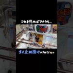 【クレーンゲーム】#とれとる米原店 さんでゴイ止め掛けしてきた✌
