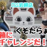 【クレーンゲーム】デカ箱に挑戦だ！くそだらぁ！！