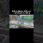 【クレーンゲーム】#おたいちポップワールド大垣 さんで久しぶりのお菓子やってきた💖