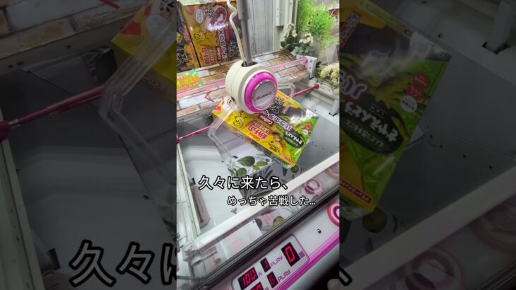 久々に乱獲しにきたぜー‼