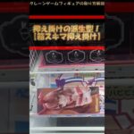 【クレーンゲーム】抑え掛けの派生型！！【箱スキマ抑え掛け】！明日から使える！長箱攻略！ #クレーンゲーム #橋渡し #フィギュア #解説