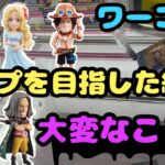 【クレーンゲーム】ワーコレ ワンピース-親子の血筋Ⅱ- コンプを目指した結果大変なことに