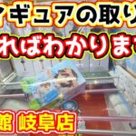 【クレーンゲーム】見ればわかる！フィギュアの取り方  回遊館岐阜店