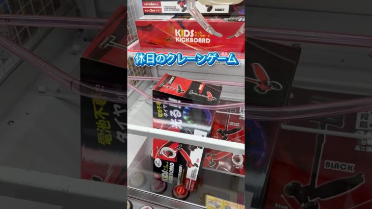 クレーンゲーム取れるまでやってみた#クレーンゲーム