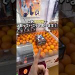 【ゲーセン】確率機で誰でも簡単に確率無視する方法教えます。(クレーンゲーム)