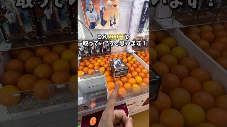 【ゲーセン】確率機で誰でも簡単に確率無視する方法教えます。(クレーンゲーム)