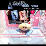 のんびりオンクレ、なんか(　ﾟдﾟ)ｸﾚ!!