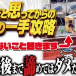 【クレーンゲーム】回遊館岐阜店！奇跡の一手をお見せできます！