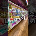 【ゲーセン】会社の同僚が異動するのでクレーンゲームでプレゼントを取ってみました。