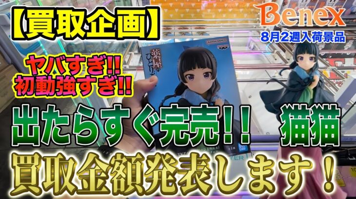 【クレーンゲーム】【買取企画】ポンチョ猫猫　猫猫は裏切らない！初動激強すぎてビビるｗ　＠ベネクス川崎店