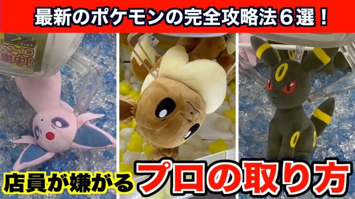 【クレーンゲーム】アームの癖をよめ！ポケモンの新作ぬいぐるみ攻略の極意６選！