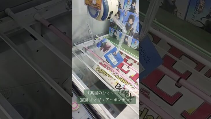 薬屋のひとりごと猫猫フィギュア獲得🦸🏻‍♀️橋幅狭め＆横はめ攻略法📝