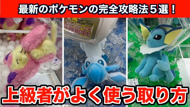 【クレーンゲーム】初心者必見！夏休みに狙いたいポケモンの新作ぬいぐるみ５選！