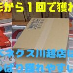 【クレーンゲーム】獲れやすいと噂のベネクス川越店は本当に獲れやすいのか⁉️