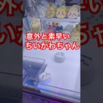 【ちいかわ】おかおミニシリコンポーチを取ってきたよ♡