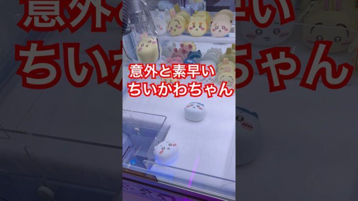 【ちいかわ】おかおミニシリコンポーチを取ってきたよ♡