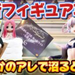 【クレーンゲーム】最新プライズフィギュア攻略したらアレが強敵だった！！ 【キャロム坂戸】